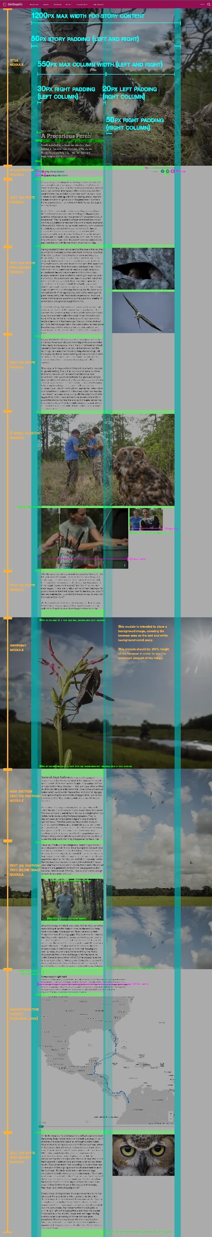 Full-length story page redlined, with each module named down the left edge