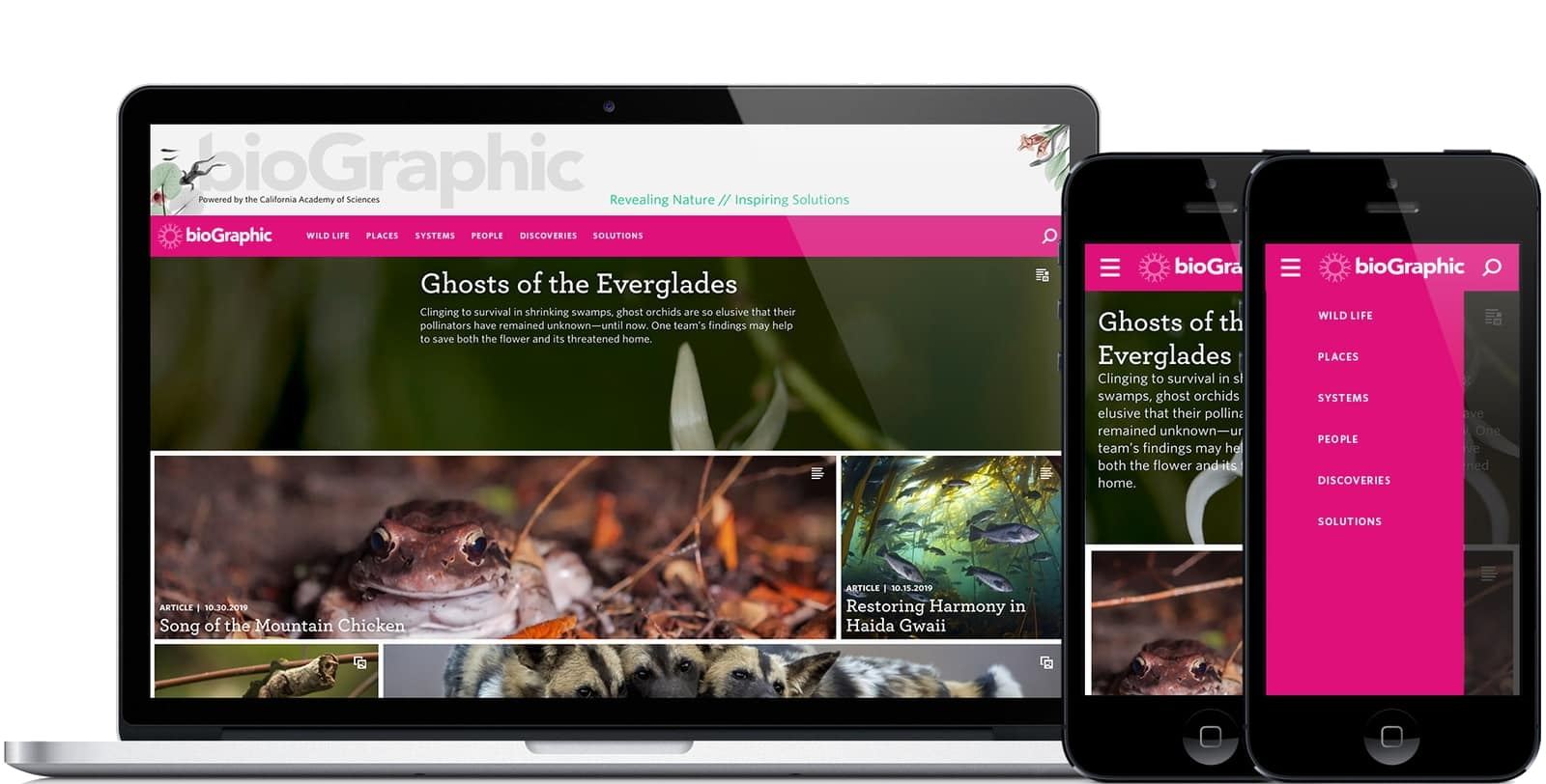 The bioGraphic homepage on desktop and mobile, with the grid restacking and the subject drawer open