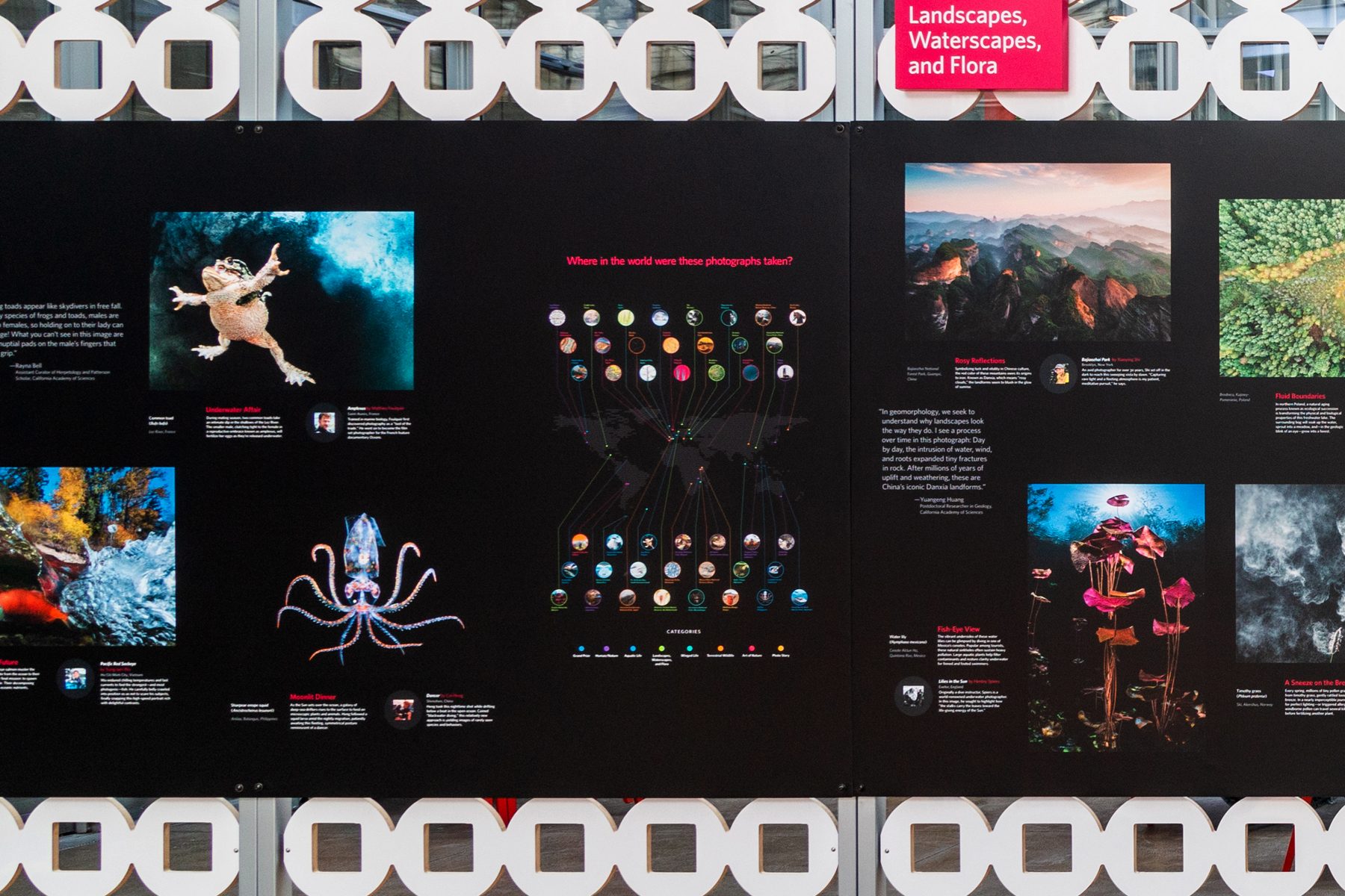 The large-format world map on the Big Picture gallery wall