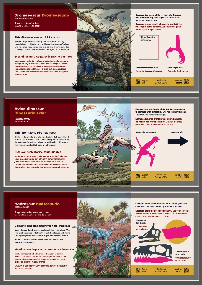 Description panel designs for a dromaeosaur, an avian dinosaur and a hadrosaur, with bilingual text, pronunciation guides, comparison illustrations, and braille and audio indicators