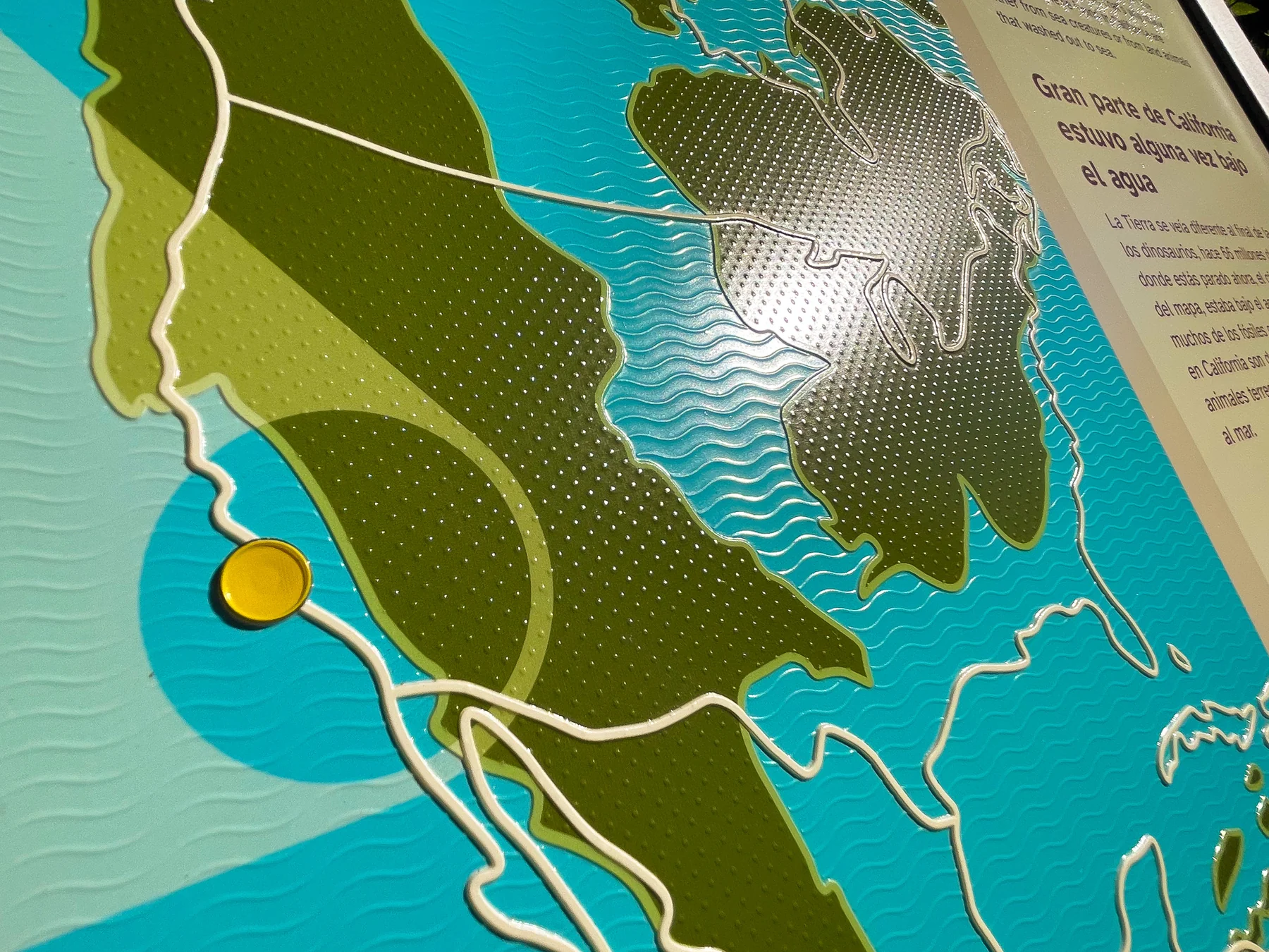 Close-up of the tactile map, showing the yellow locator button and the raised textures that separate land from water