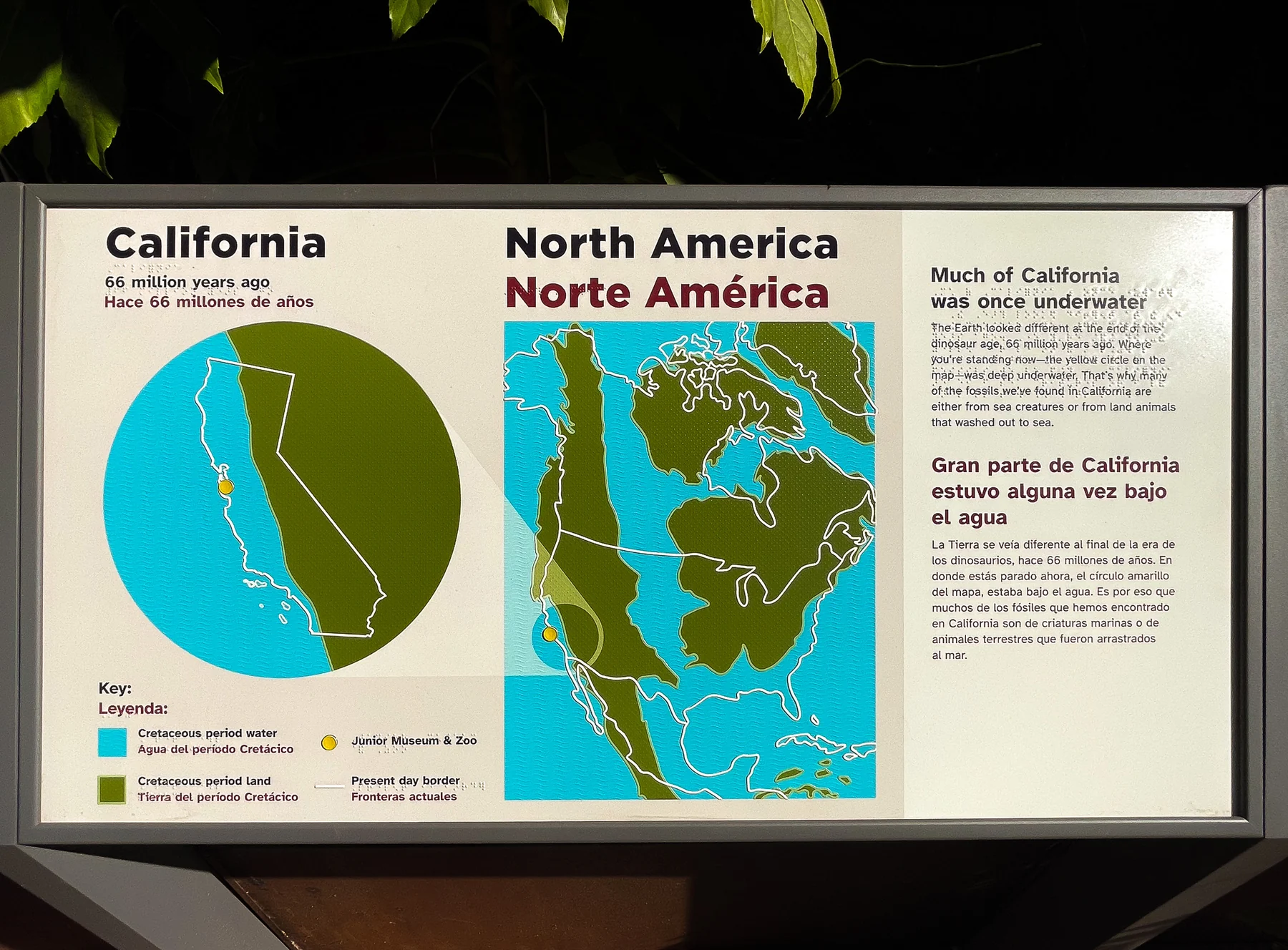 The tactile map of Cretaceous California, in raised color and texture, with a yellow locator button and bilingual text
