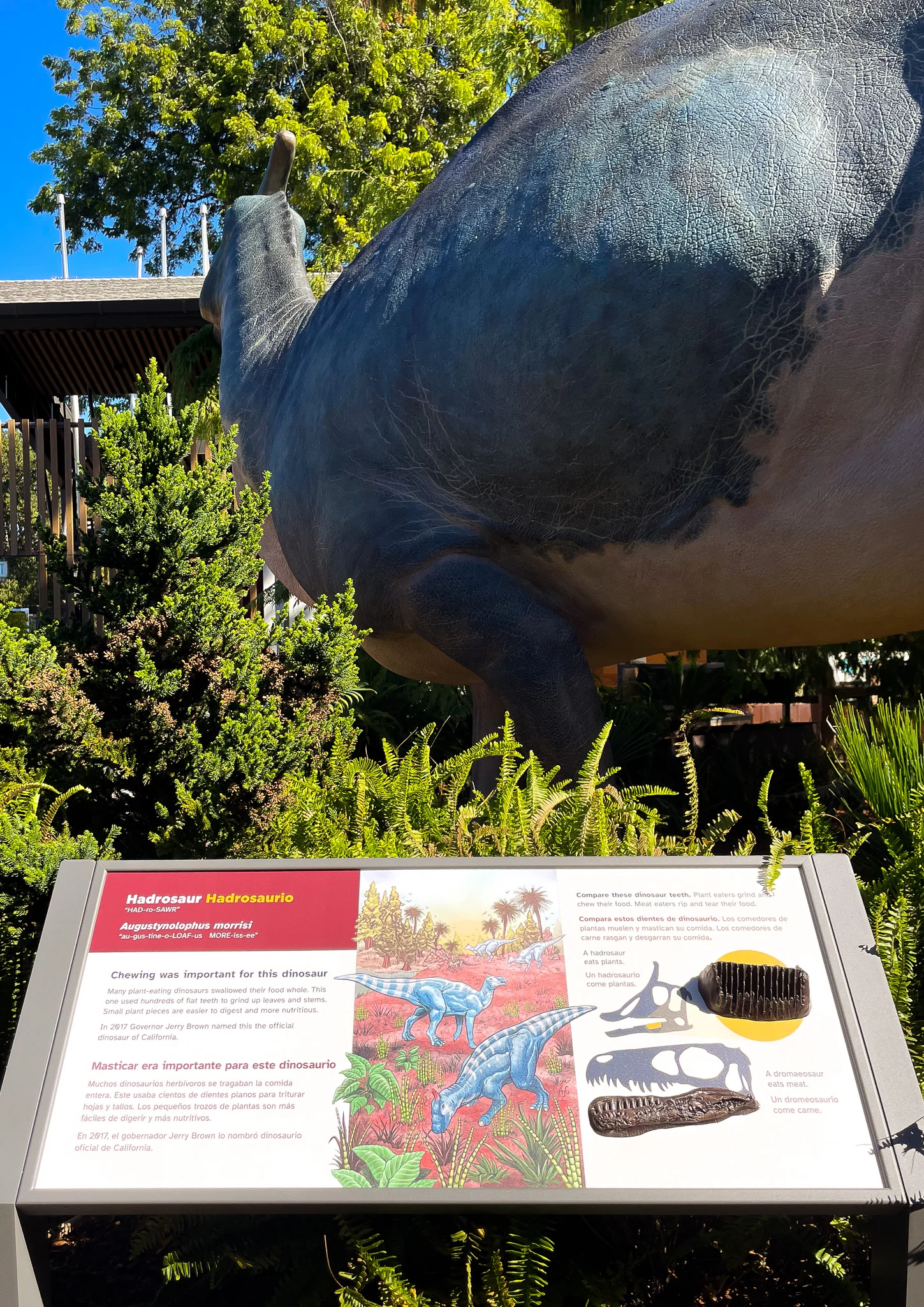 A life-size dinosaur sculpture in the planted garden, with its bilingual description panel in the foreground