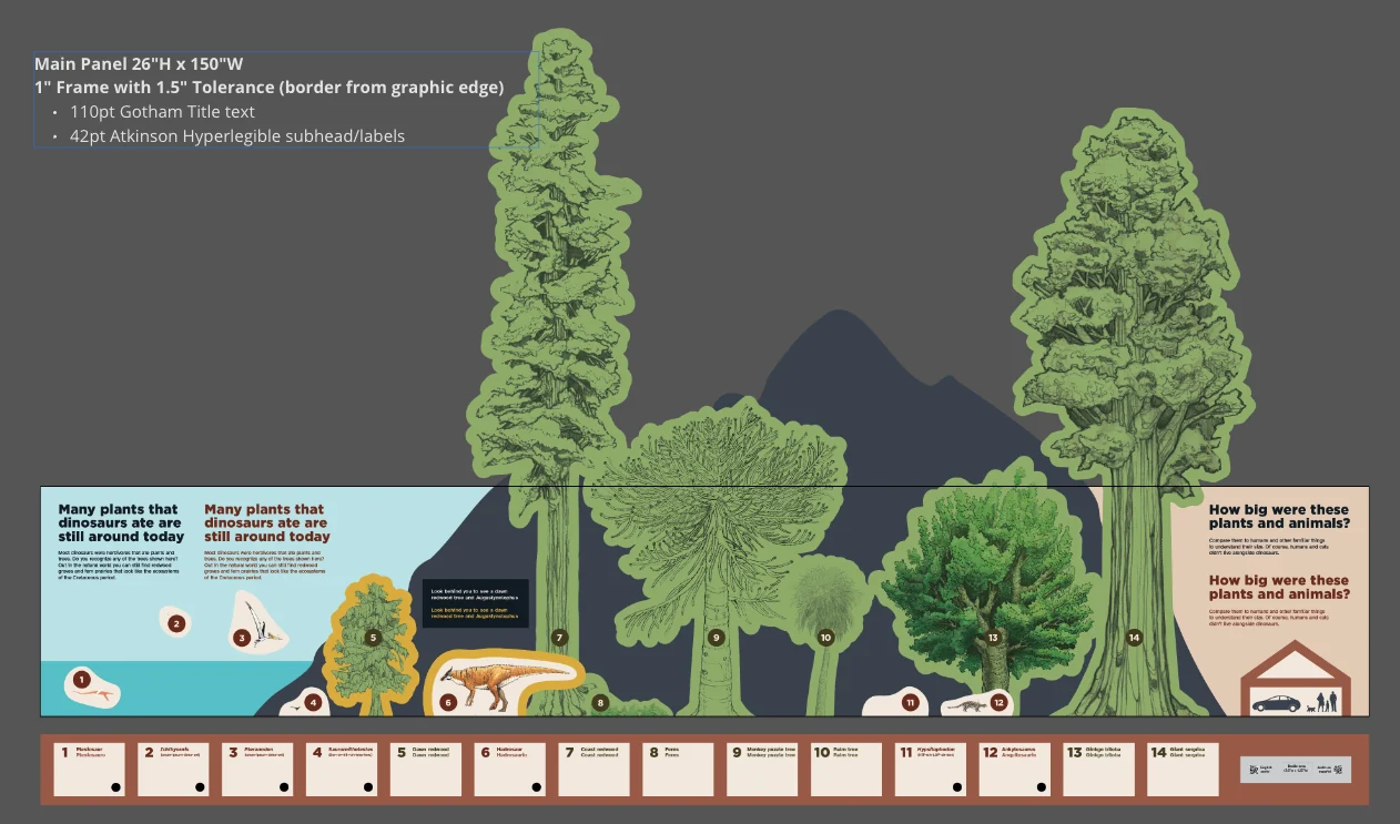 Production spec for the 26 by 150 inch size-comparison panel, with redwoods, cycads and ferns above a row of species labels, noting 110 pt Gotham titles and 42 pt Atkinson Hyperlegible subheads and labels