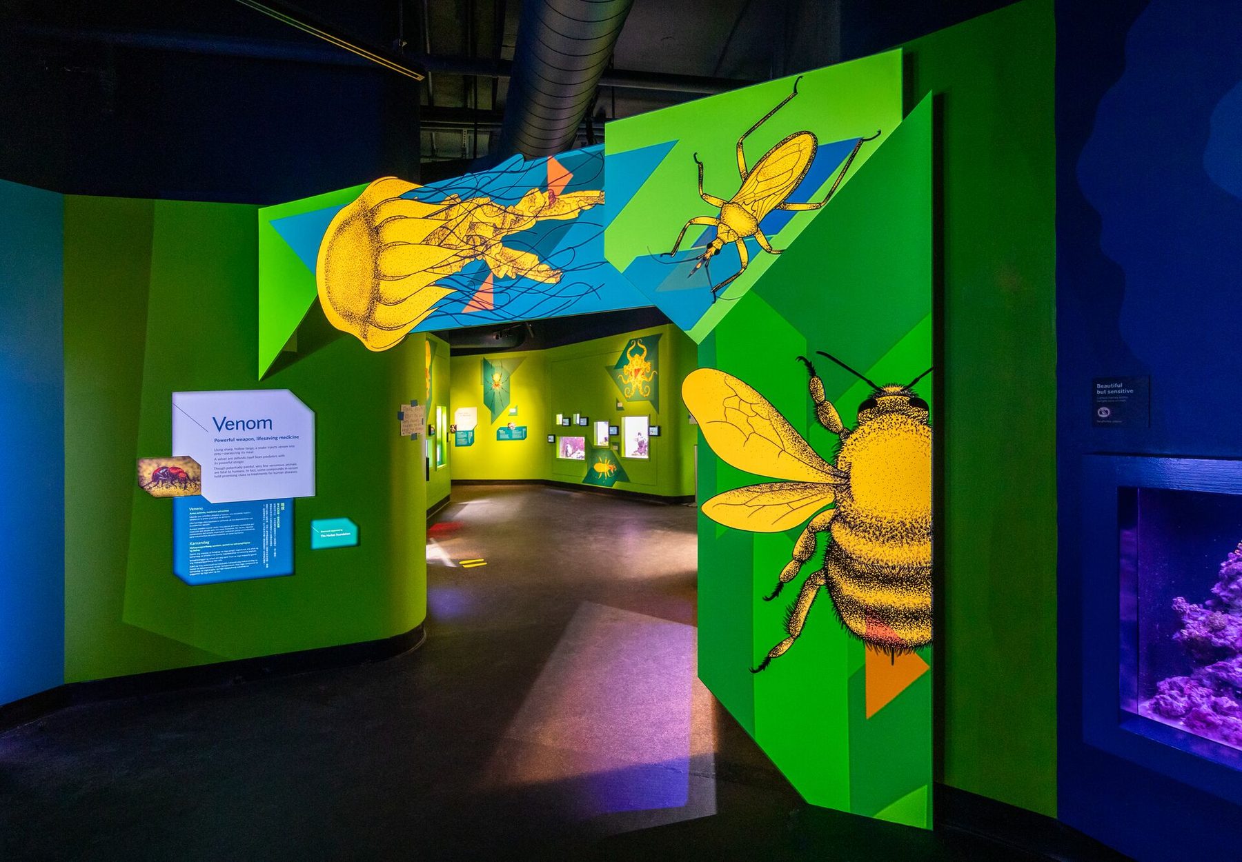 The installed back entryway to the Venom exhibit