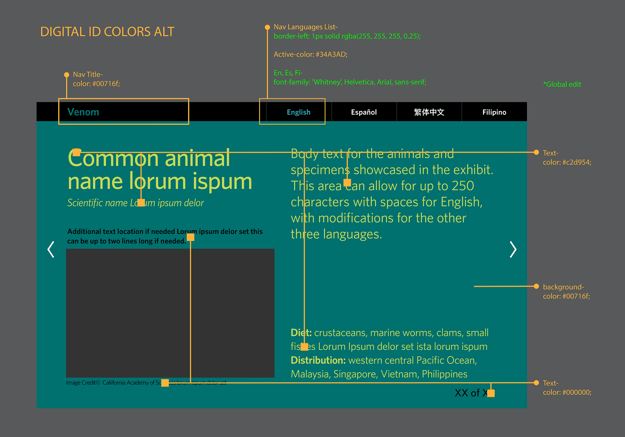 Digital ID screens cycling through exhibit color palettes