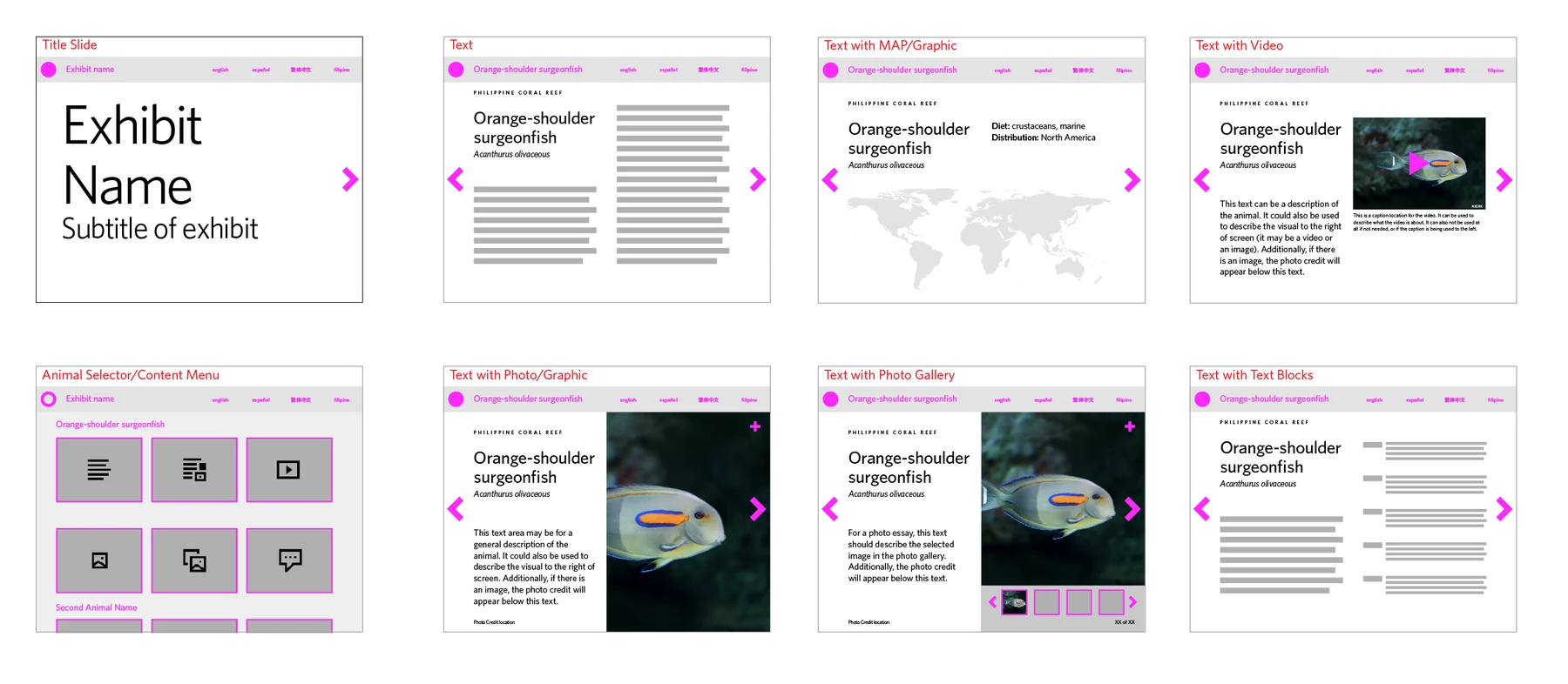 Early Digital ID explorations with map, gallery and video screens