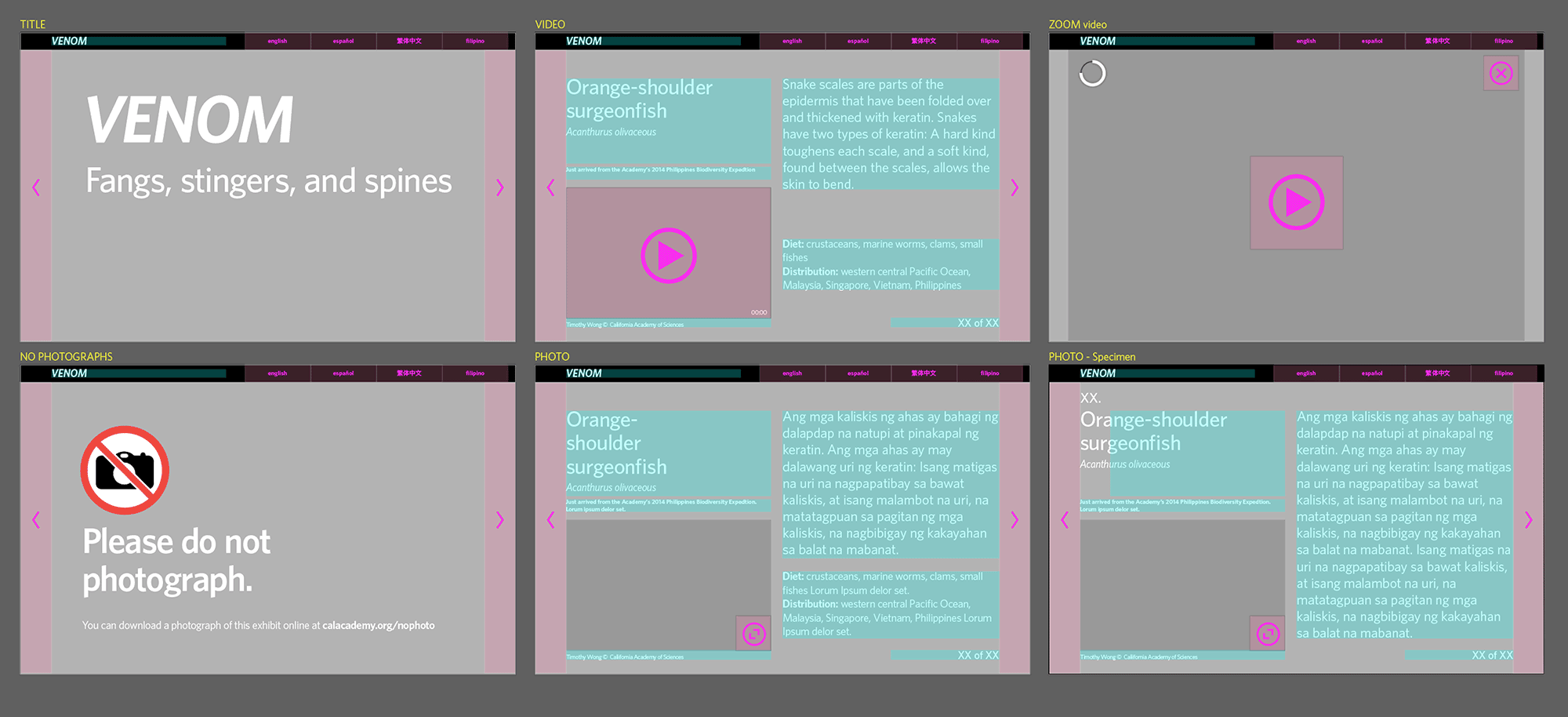 Digital ID screens annotated with interactive areas and text blocks