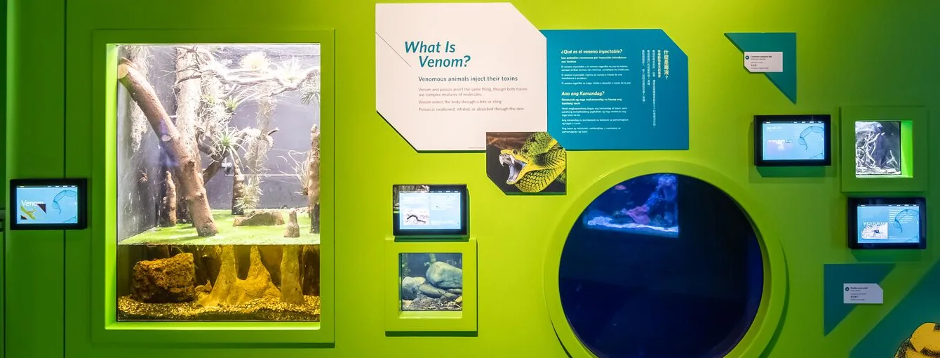 Part of the Venom gallery wall, with small Digital ID screens mounted beside each live animal habitat around the exhibit's introduction panel