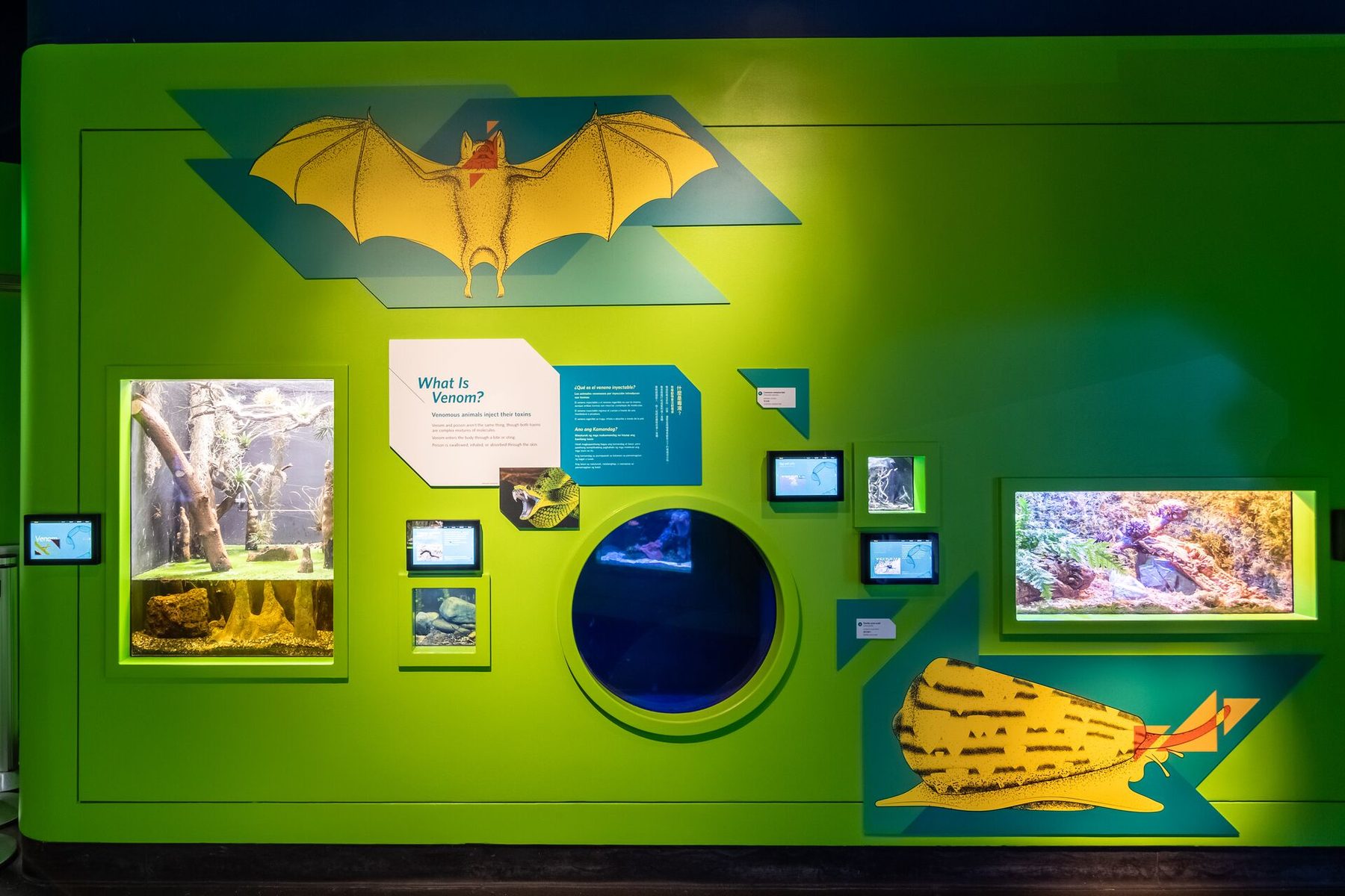 A Venom exhibit wall in saturated green with an illustrated bat, live animal habitats and Digital ID screens